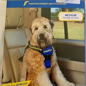 Blue Dog Car Harness - Medium